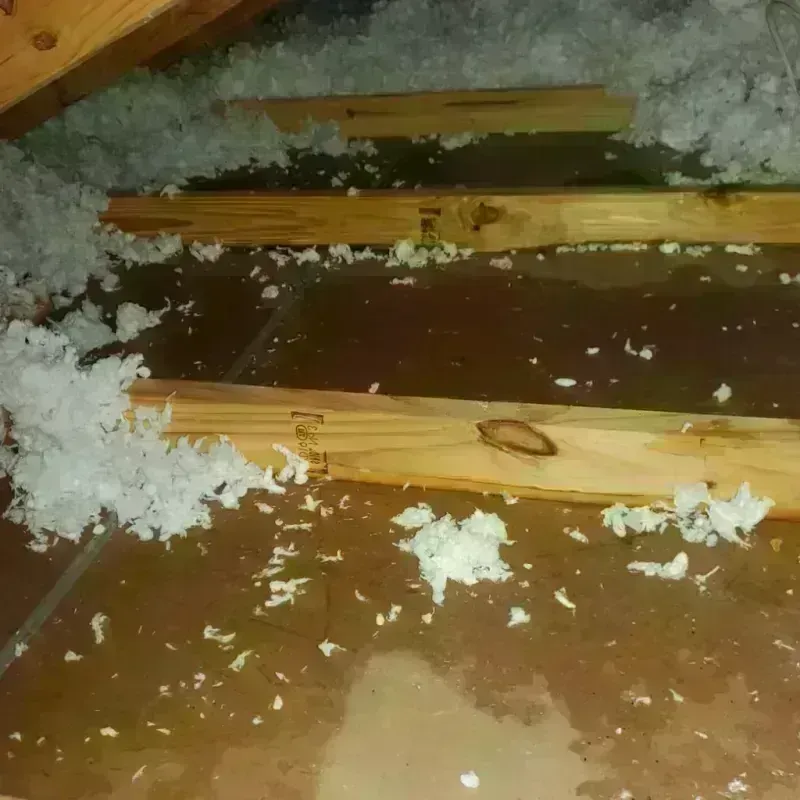 Attic Water Damage in Upper Bear Creek, CO